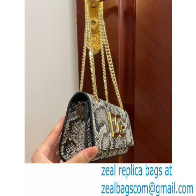 Dolce  &  Gabbana Calfskin 3.5 Chain phone bag Python Print